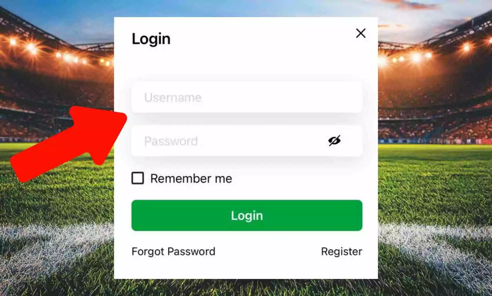 12Bet India: Entering Your Login Credentials